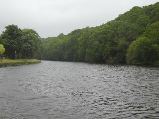 pont coblant